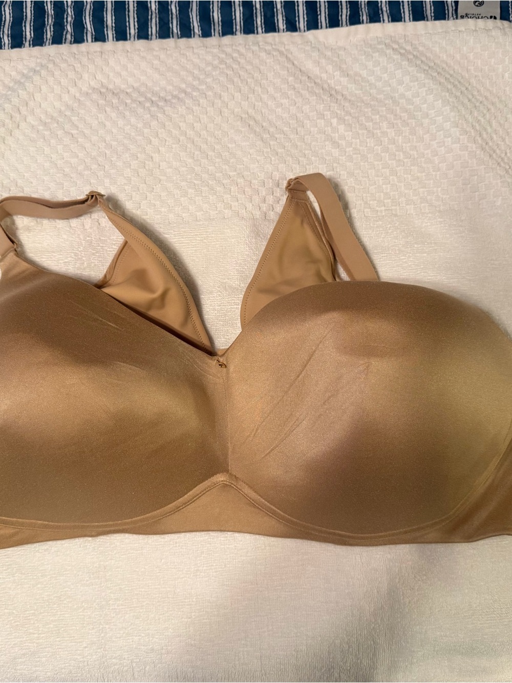 Lane Bryant Bra